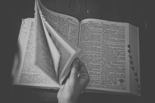 「展開する」という言葉を調べている辞書のページ