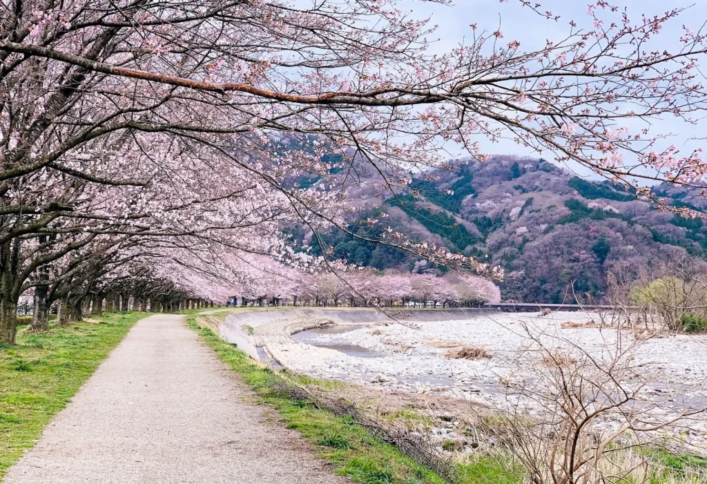 Image of a residential area in the Kantō region (excluding the Metropolitan Area).