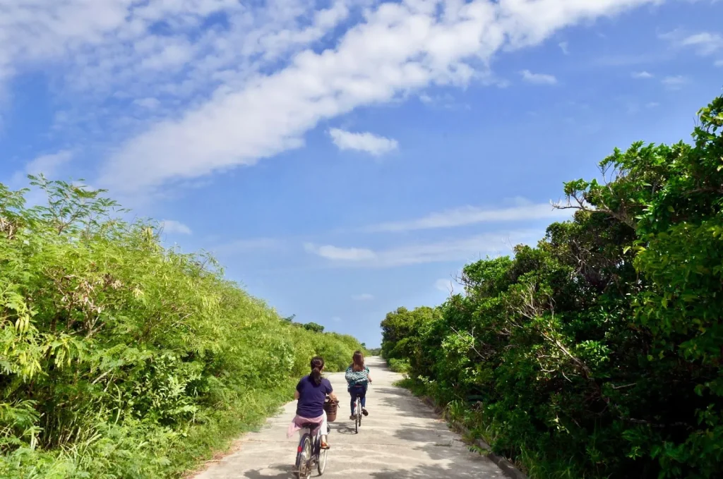 Image of the tropical landscape and traditional homes in Okinawa.