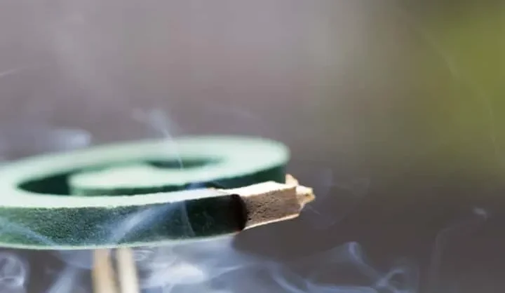 Image of a traditional Japanese mosquito coil in its holder.