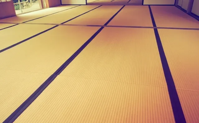 Image illustrating the proper technique for vacuuming a Tatami mat, following the grain.