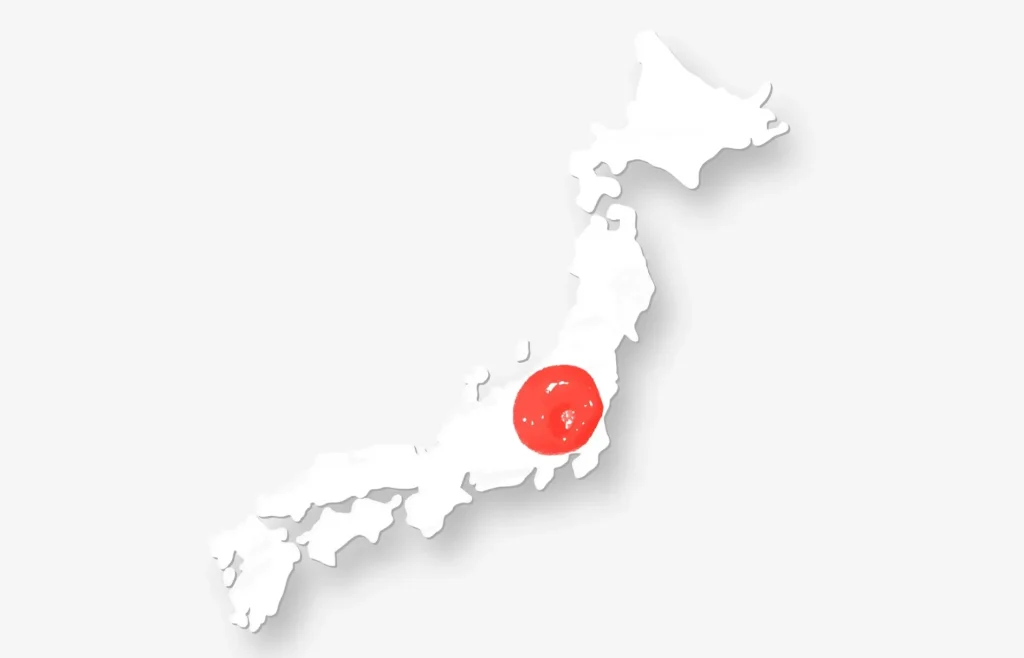 Image illustrating the differences in address formats across different types of Japanese regions (Tokyo 23 Wards, major cities, and rural areas).