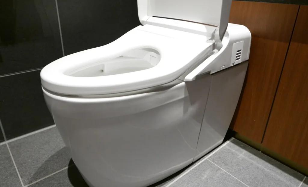 Image illustrating the two main types of Japanese toilets: Japanese style (和式) and Western style (洋式).