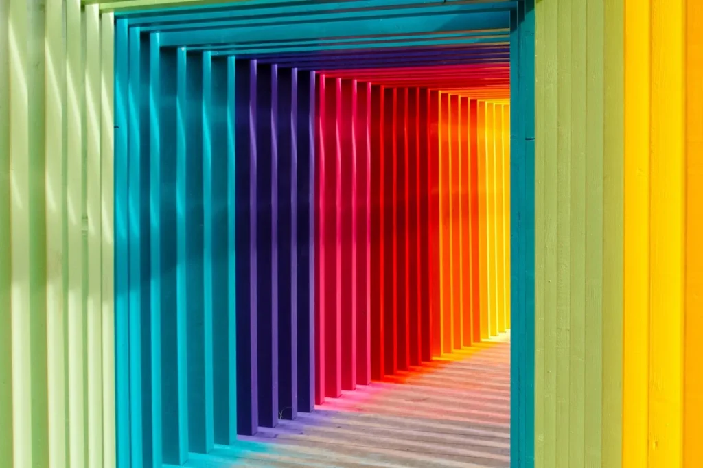Image illustrating the concept of different colors representing the four seasons in Japan.