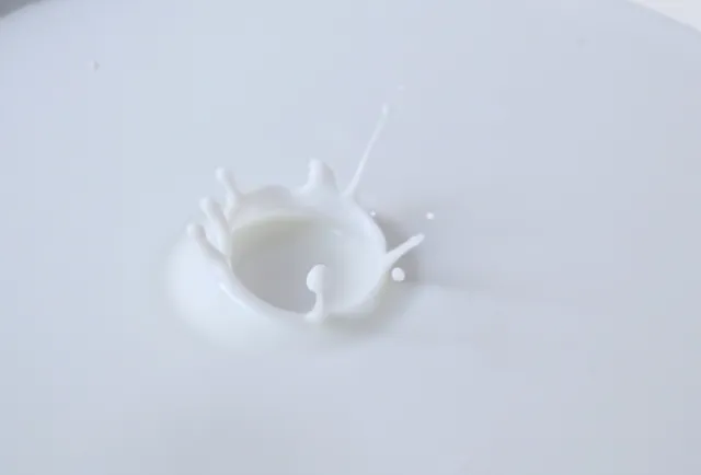 Image showing a table of different milk types with their Japanese and English names, along with Japanese pronunciation.