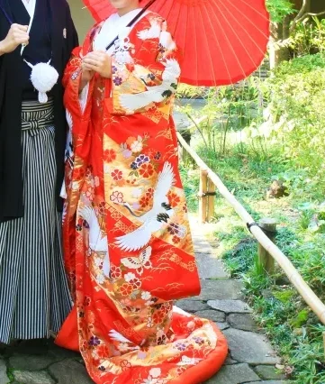 Image of a bride wearing a gorgeous, colored Uchikake kimono over another kimono, traditional for weddings.